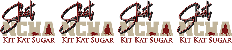 2022 NCHA Super Stakes Logo